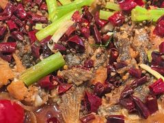 -老板恋上鱼(印象城店)