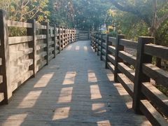 -华侨城湿地公园