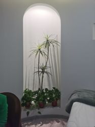 -VE专注问题肌·赛诺龙&科学美肤中心