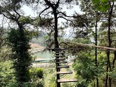 -芦仙山景区-飞越丛林探险乐园