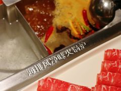 -海底捞火锅(龙岗星河COCO Park店)