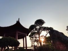 -东莞植物园