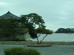 -松岛