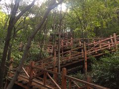-大岭沟猕猴桃谷风景区