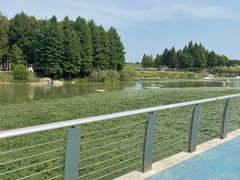 -滆湖低碳生态公园