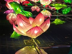 -广西壮族自治区药用植物园