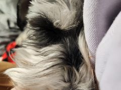 -FAELING PETS美天灵宠物(富力广场店)