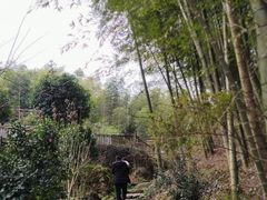 -宁波浙东大竹海景区