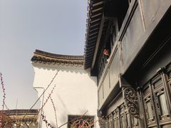 -绮园景区