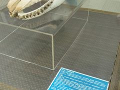 -汕头大学-图书馆