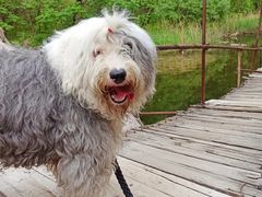 -碓臼峪自然风景区