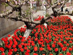 -北京市海淀外国语实验学校