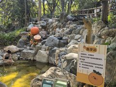 -湖泉半山温泉(湖泉生态园)