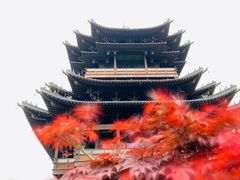 -杭州半山国家森林公园