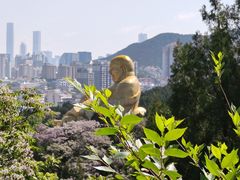 -千佛山风景名胜区