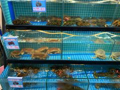 水产区-琼大师东方烤乳猪(亚特兰蒂斯店)