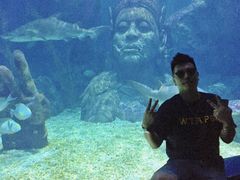-暹罗海洋世界