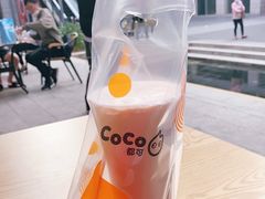 -CoCo都可(深业东岭店)