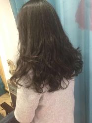 -渼树MSUTREE连锁沙龙