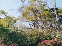 -青岛德国总督楼旧址博物馆