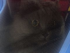 -中农国际动物医院24小时·猫科·骨科·急重症中心