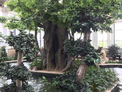 -太白山御龙湾温泉