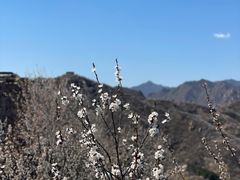 -龙泉峪长城