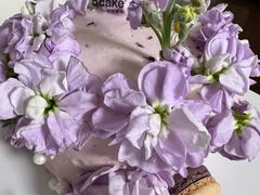 -5Cake五度无蔗糖低脂蛋糕(陶然亭店)