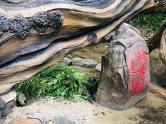 -大青沟风景区