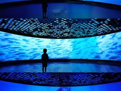 -同济大学四平路校区深海探索馆