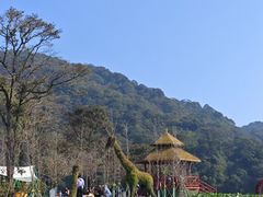 -广州市石门国家森林公园