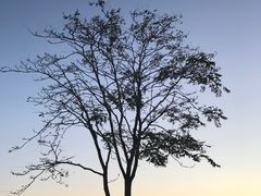 -JF Garden(渔人码头店)