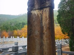 -四门塔风景区