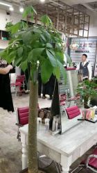 -木北护肤造型