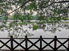 -南宁南湖公园