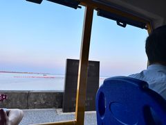 -北海金海湾红树林生态旅游区