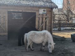 -北京市海淀外国语实验学校