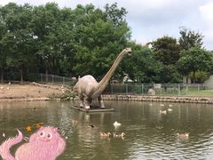 -上海海湾国家森林公园