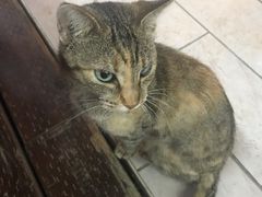 -咪咪家的餐厅