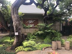 -Chom Cafe and Restaurant