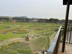 -苏州太湖西山岛开心农场