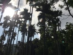 -呀诺达热带雨林