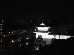 -京都全日空皇冠假日酒店