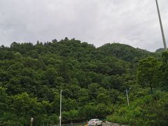 -秦岭服务区餐厅(京昆高速店)