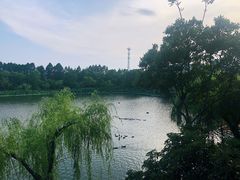 -上海怡沁园度假酒店