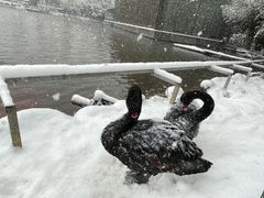 -春晖园度假酒店温泉