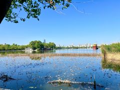 -济南大明湖景区