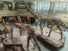 -安徽省地质博物馆