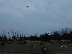 -两河城市森林公园