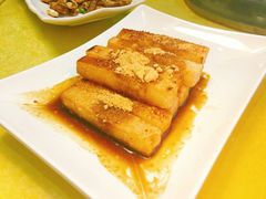 -胖大姐黄辣丁鱼庄(新津店)